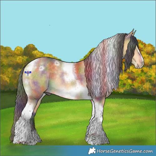 Horse Color:Nacre Buckskin Dun Tobiano Frame Rabicano 
