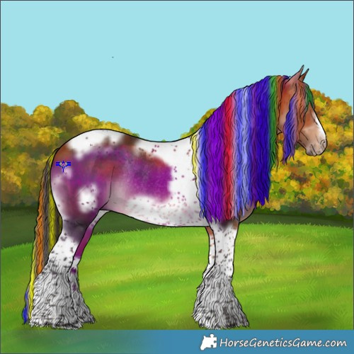 Horse Color:Painted Bay Tobiano Frame Rabicano 