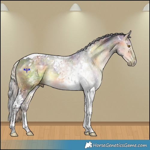 Horse Color:Nacre Silver Buckskin Tobiano 
