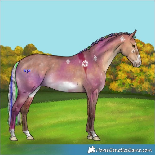 Horse Color:Painted Silver Brown Dun Frame 