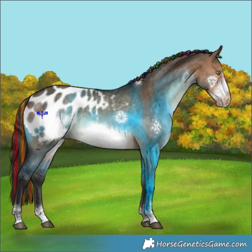 Horse Color:Painted Brown Dun Frame Appaloosa 