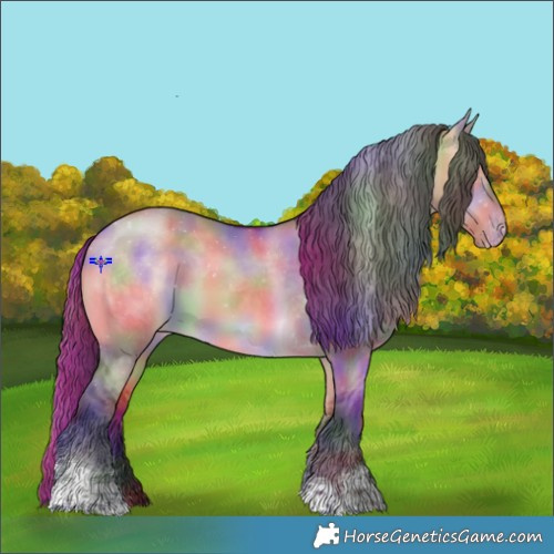 Horse Color:Nacre Bay Dun Tobiano Appaloosa 