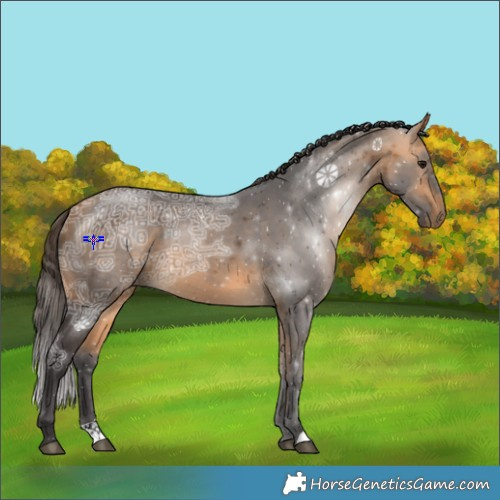 Horse Color:Buckskin Ice 