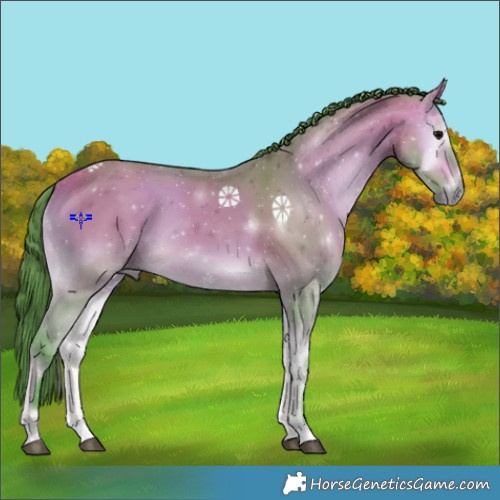 Horse Color:Watercolor Buckskin Onyx 
