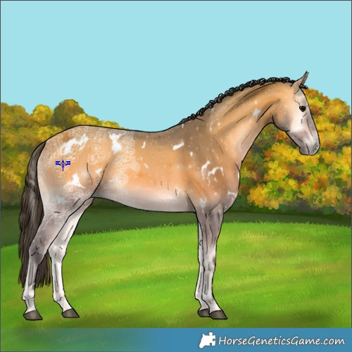 Horse Color:White Spotted Buckskin Ice Onyx 