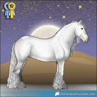 Horse Color:Gray Silver Brown Dun Tobiano Appaloosa Brindle 