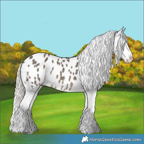Horse Color:Silver Smoky Grullo Sabino Blanket 
