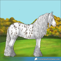 Horse Color:Silver Smoky Grullo Sabino Blanket 