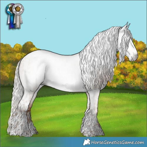 Horse Color:Gray Silver Buckskin Pearl Dun Sabino Tobiano Rabicano  and Gray Silver Amber Champagne Dun Tobiano Rabicano 