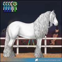 Horse Color:Gray Silver Buckskin Pearl Dun Sabino Tobiano Rabicano  and Gray Silver Amber Champagne Dun Tobiano Rabicano 