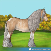 Horse Color:Gray Silver Buckskin Pearl Dun Sabino Tobiano Rabicano  and Gray Silver Amber Champagne Dun Tobiano Rabicano 