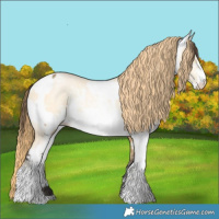 Horse Color:Buckskin Dun Appaloosa Rabicano Brindle  and White Spotted Classic Cream Champagne Pearl Sabino Rabicano 