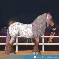 Horse Color:Red Roan Near Leopard 
