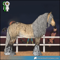 Horse Color:Silver Buckskin Dun Brindle  and Silver Buckskin Dun Tobiano Brindle 