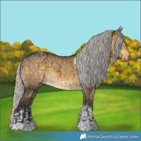 Horse Color:Silver Buckskin Dun Brindle  and Silver Buckskin Dun Tobiano Brindle 