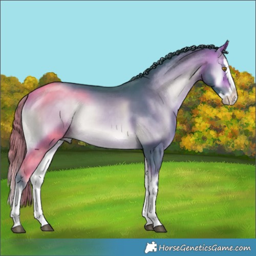 Horse Color:Watercolor Buckskin Onyx Splash 