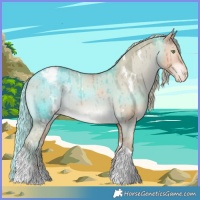 Horse Color:White Spotted Gold Champagne Dun Tobiano Varnish Rabicano Brindle 
