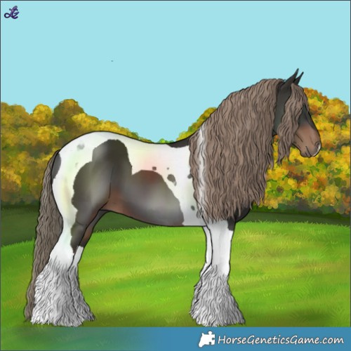 Horse Color:Liver Chestnut Tobiano 
