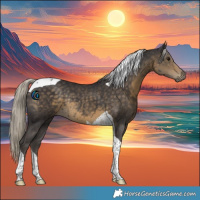 Horse Color:Silver Smoky Black Tobiano Rabicano 