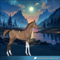 Horse Color:Liver Red Dun Tobiano Rabicano 