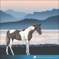 Horse Color:Silver Smoky Black Tobiano 