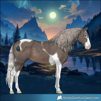 Horse Color:Silver Black Splash Tobiano 