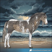 Horse Color:Silver Smoky Black Sabino Tobiano