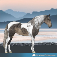 Horse Color:Silver Smoky Black Tobiano 