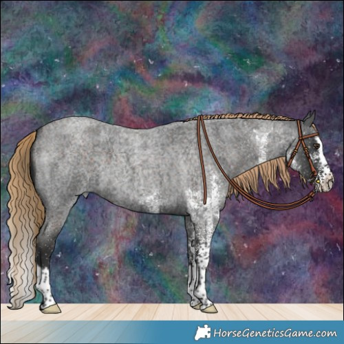 Horse Color:White Spotted Liver Red Roan Splash 