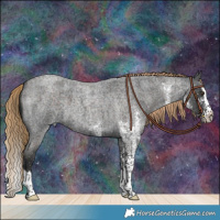 Horse Color:White Spotted Liver Red Roan Splash