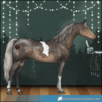Horse Color:White Spotted Silver Smoky Black Tobiano Rabicano 