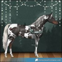 Horse Color:White Spotted Liver Chestnut Mushroom Tobiano 