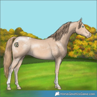 Horse Color:White Spotted Perlino Tobiano Rabicano 