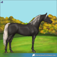 Horse Color:Liver Chestnut Mushroom
