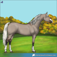 Horse Color:Liver Red Dun Mushroom 