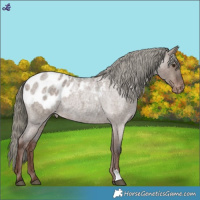 Horse Color:Liver Red Dun Roan Mushroom Blanket 