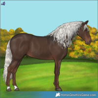 Horse Color:Liver Chestnut Mushroom 