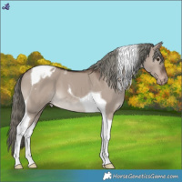 Horse Color:Liver Red Dun Mushroom Tobiano Varnish