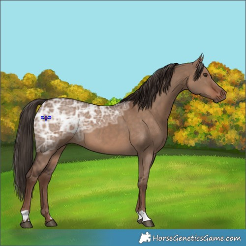 Horse Color:Liver Red Dun Ice 