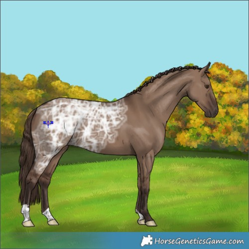 Horse Color:Liver Red Dun Ice 