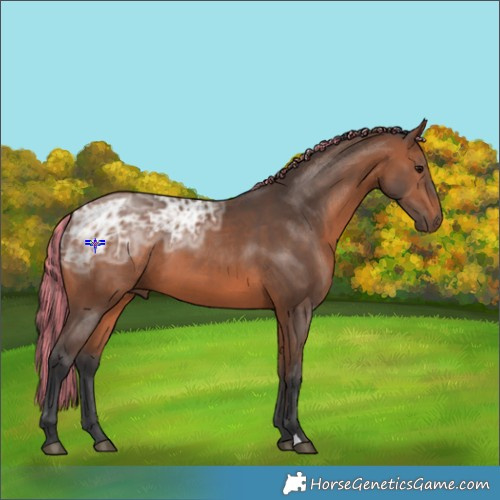 Horse Color:Painted Bay Ice 