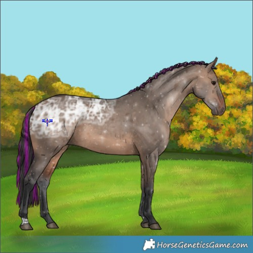 Horse Color:Painted Brown Ice Dun 