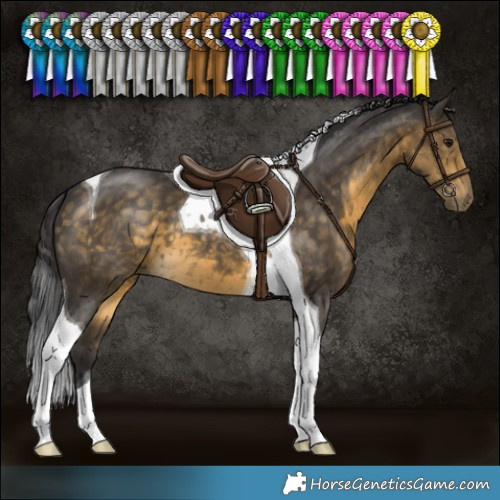 Horse Color:Buckskin Tobiano
