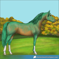 Horse Color:Watercolor Brown 