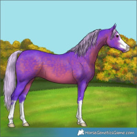 Horse Color:Watercolor Silver Brown
