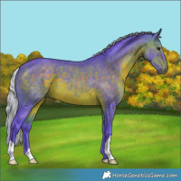 Horse Color:Watercolor Silver Brown 