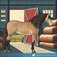 Horse Color:Buckskin 