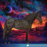 Horse Color:Midnight Buckskin Ice