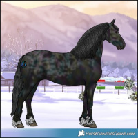 Horse Color:Midnight Black Ice 