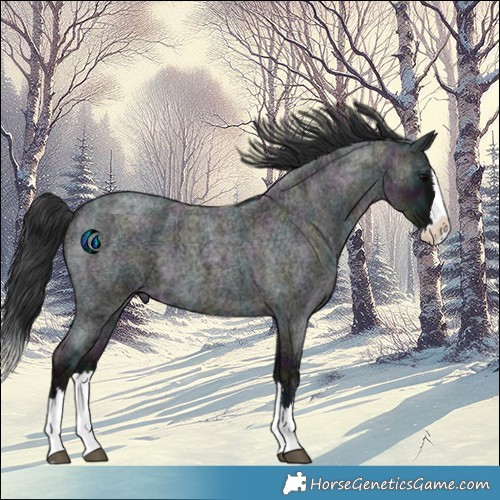 Horse Color:Midnight Blue Ice Roan Splash 